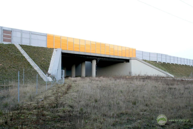 43-Przejście dolne dla dużych zwierząt zespolone z drogą serwisową w ciągu autostrady A2, odcinek:...