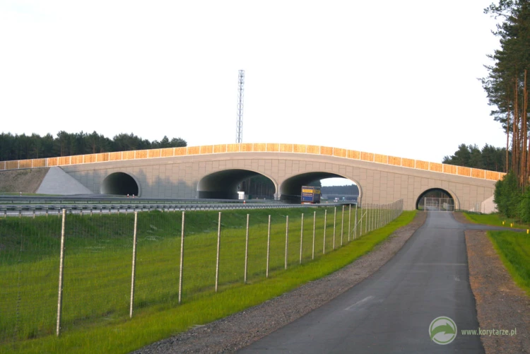 40-Najlepsze przejścia górne powstały dotychczas przy autostradzie A2, odcinek: Nowy Tomyśl-Świecko...