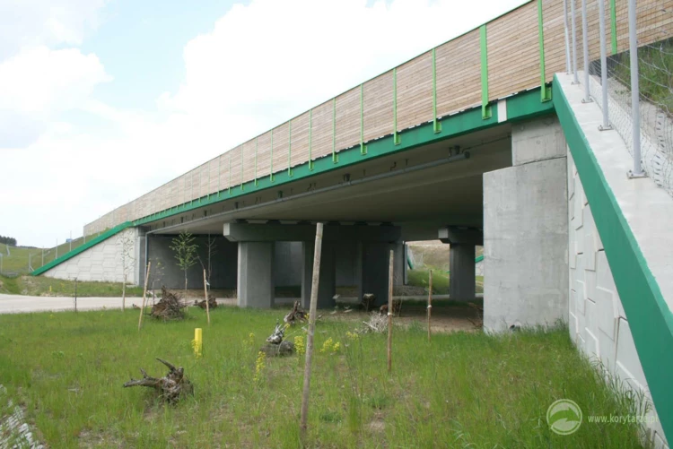19-Przejście dolne dla średnich zwierząt zespolone z drogą gospodarczą pod autostradą A1, odcinek:...