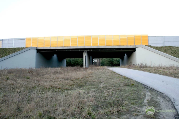 44-Przejście dolne dla dużych zwierząt zespolone z drogą serwisową w ciągu autostrady A2, odcinek:...