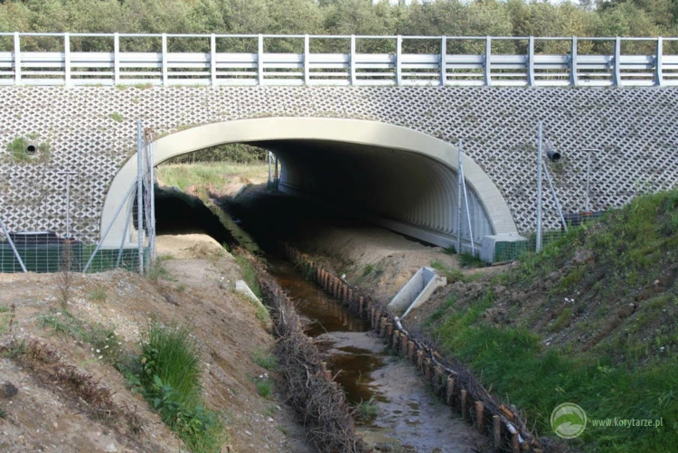 69-Przejście dolne dla średnich zwierząt zespolone z ciekiem pod drogą ekspresową S-3, odcinek: Myślibórz-Gorzów Wlkp.