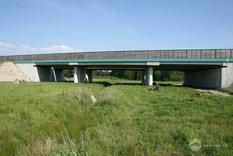 94-Przejścia dolne dla dużych zwierząt zespolone z ciekami i drogami gospodarczymi w ciągu drogi ekspresowej S-8, odcinek: Oleśnica-Syców